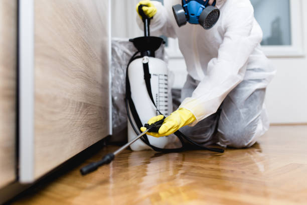 Best Emergency Pest Control  in Bangor Base, WA