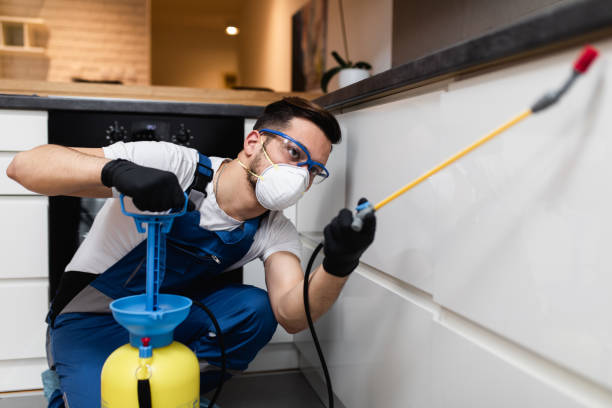 Pest Control for Restaurants in Bangor Base, WA