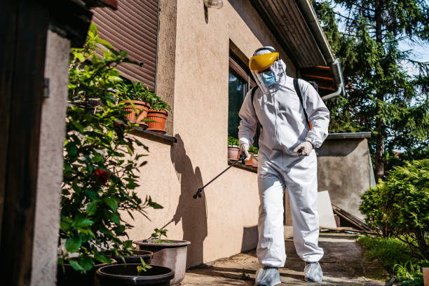 Best Best Pest Control Companies  in Bangor Base, WA